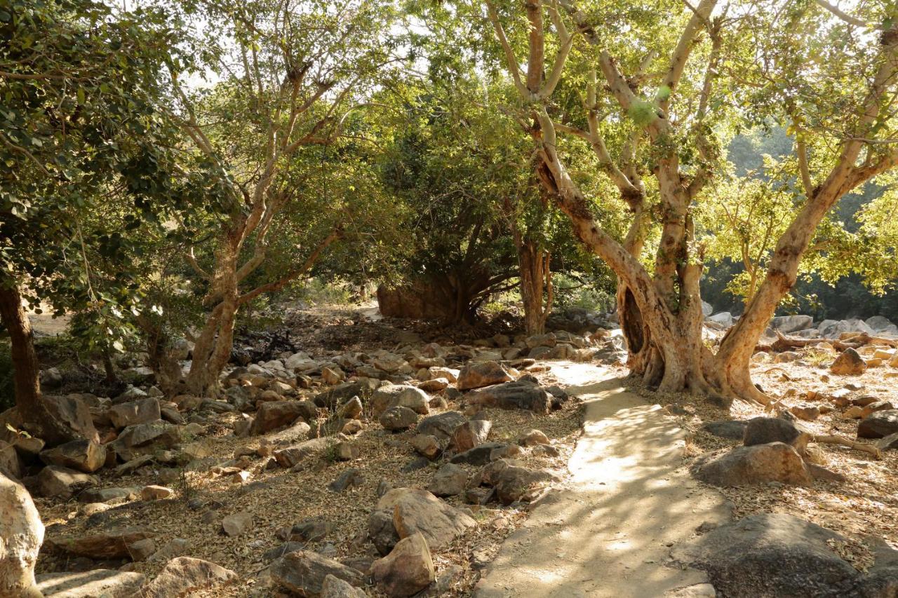 Bijapur Lodge Jawai Exteriér fotografie